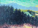 Nord de Mont Ventoux (kroonsteen2024_23)