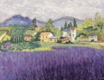 Vaucluse, Frankrijk. Olieverf, 50 x 65 (kunstroute2023_04)