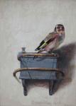 “Puttertje” kopie naar Fabricius, olie niet te koop (painting_0023-2)