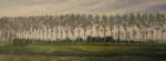 Entlang der Issel, 30/70 , olie (painting_0027)