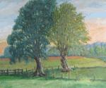 2 Wilgensoorten, olie, 50/60 (painting_0457)