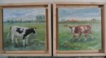2 kalfjes, l8/l8 (een verkocht) (painting_0497)