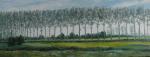 Pappeln am Issel (D) olie, 30/70 verkocht (painting_0501)