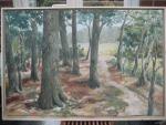 Bosrand Vennen, olie, 70/100, verkocht (painting_0507)