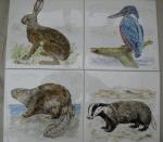 beesten langs de rivier (haas, ijsvogel, bever, das) Vierlingsbeek i.o. (tile_10)